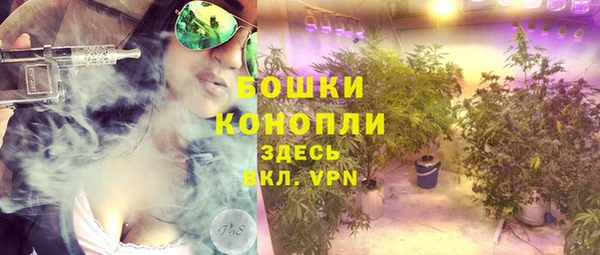 дурь Новодвинск