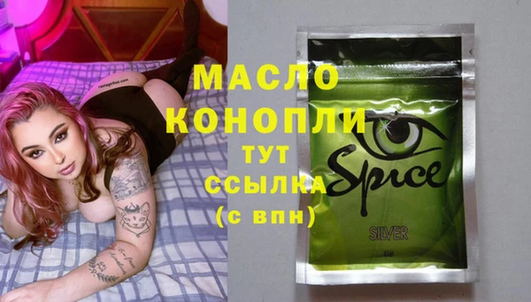spice Ельня