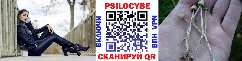 Псилоцибиновые грибы MAGIC MUSHROOMS  Бирюч 