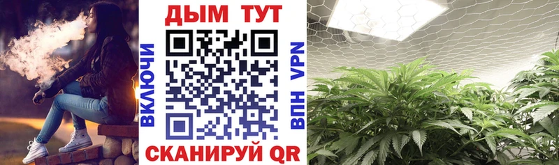 наркота  Бирюч  Бошки марихуана Ganja 